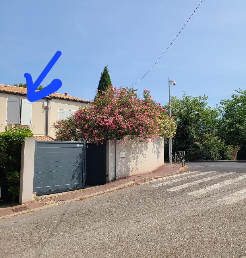 Chez Nous Dans Notre Petit Jardin Διαμέρισμα Μονπελιέ Εξωτερικό φωτογραφία