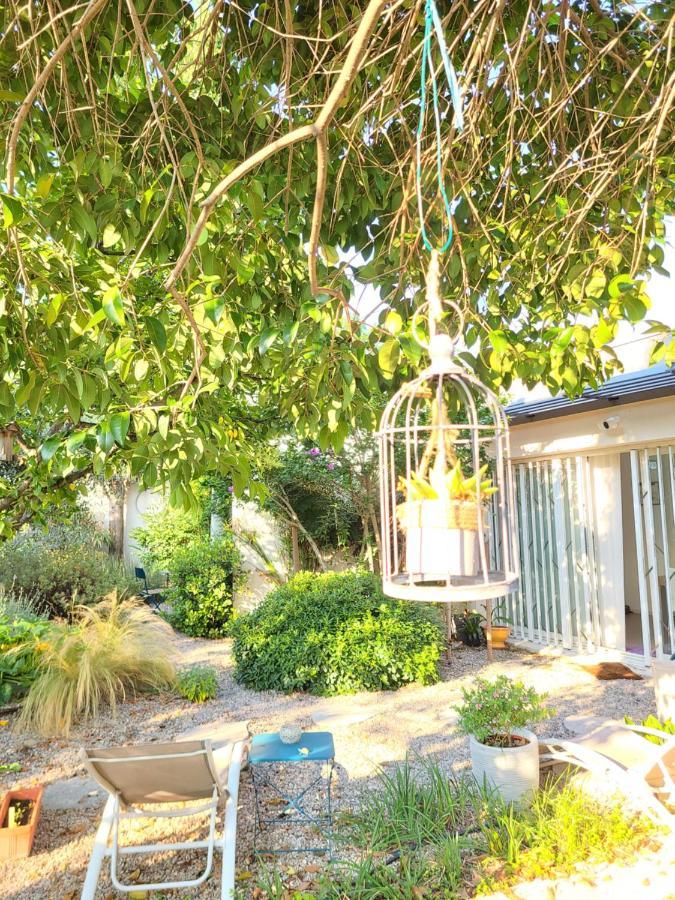 Chez Nous Dans Notre Petit Jardin Διαμέρισμα Μονπελιέ Εξωτερικό φωτογραφία