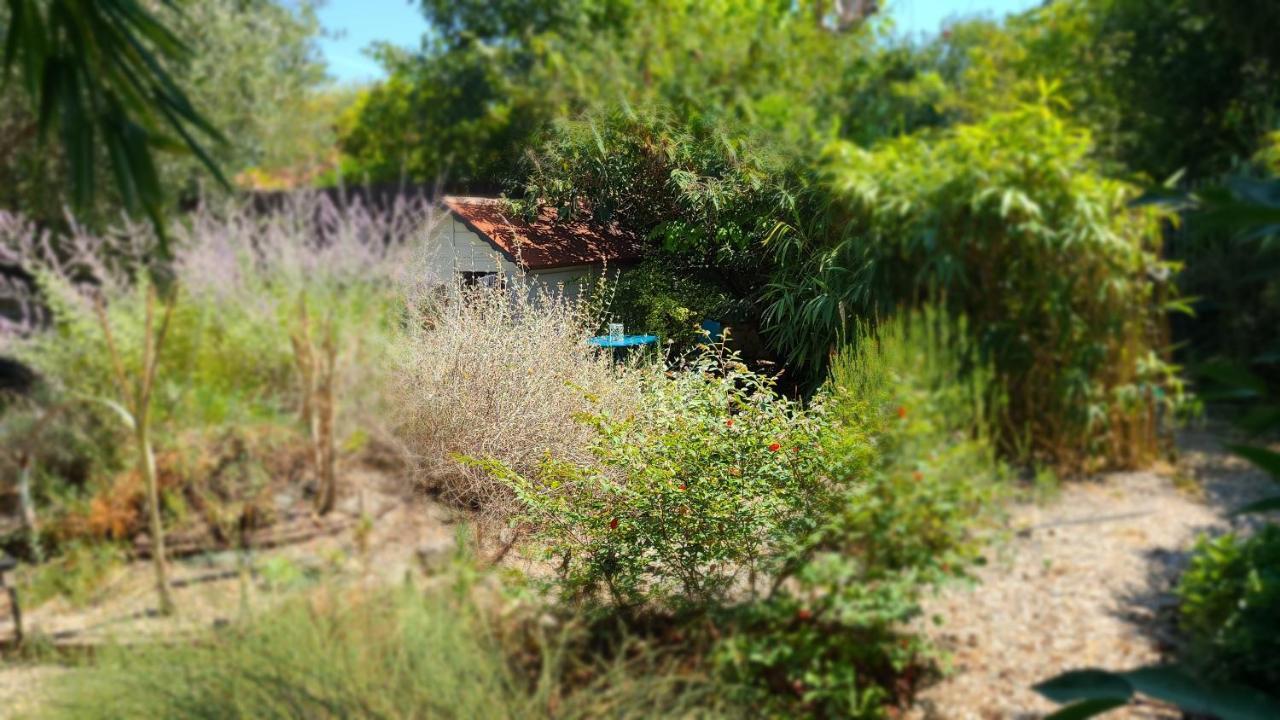 Chez Nous Dans Notre Petit Jardin Διαμέρισμα Μονπελιέ Εξωτερικό φωτογραφία
